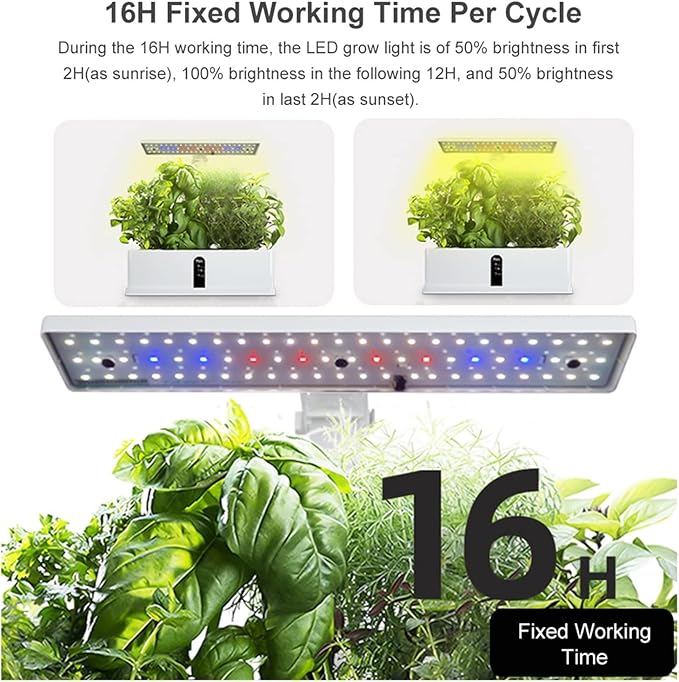 Hydroponic Equipment Garden Hydroponics Growing System Indoor Herb Garden Kit Automatic Timing LED Grow Lights Smart Water Pump for Home Flower Pots Indoor Garden